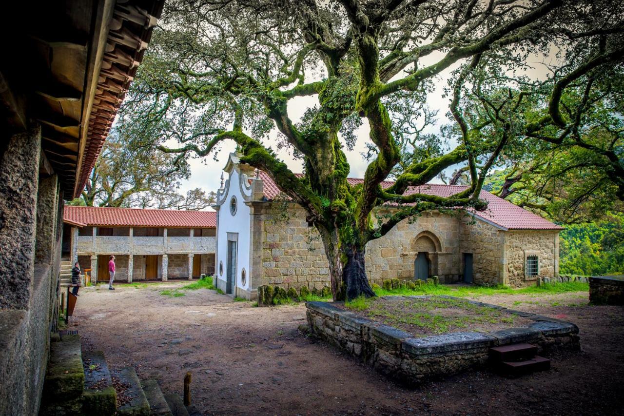 Casa Da Vila Cerveira ヴィラ・ノーヴァ・デ・セルヴェイラ エクステリア 写真